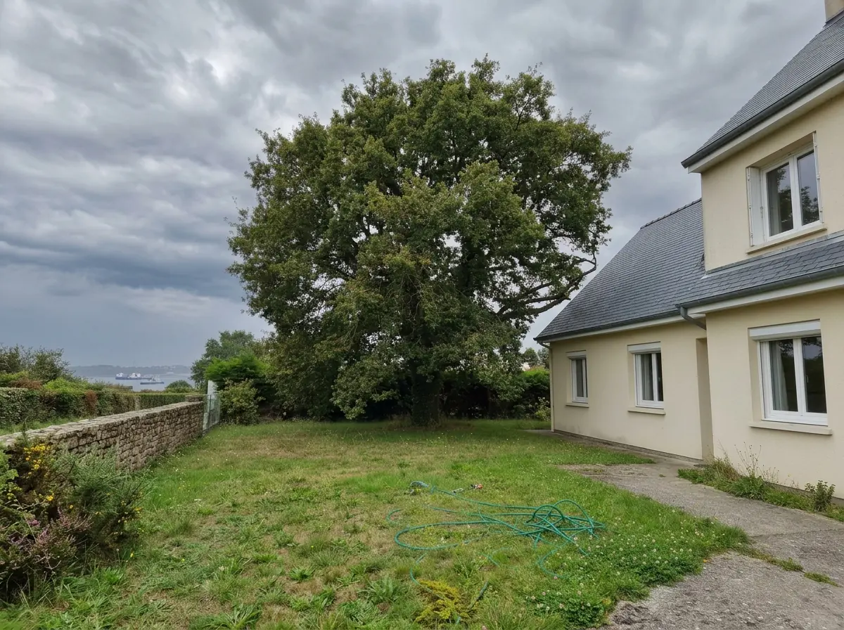Chêne qui déborde sur la toiture, avant élagage