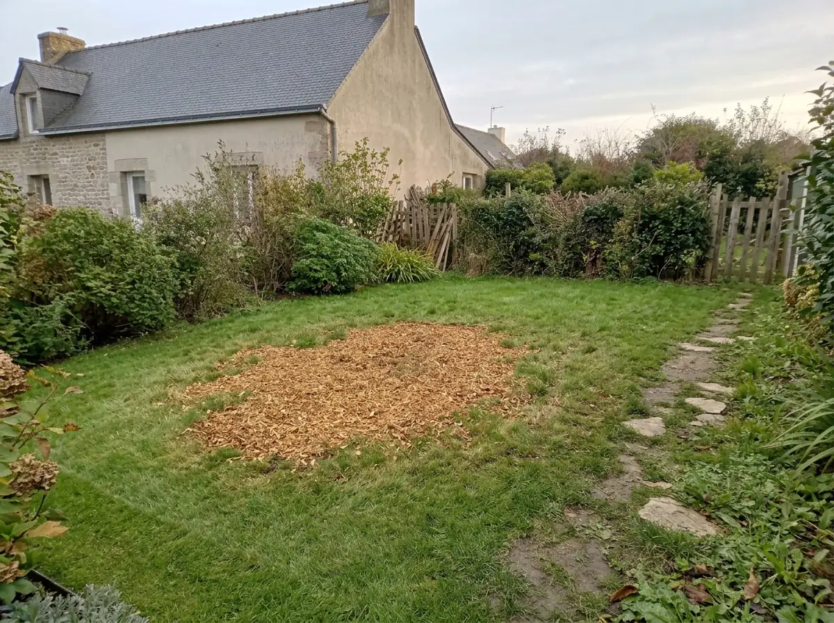 La même pelouse après rognage de la souche